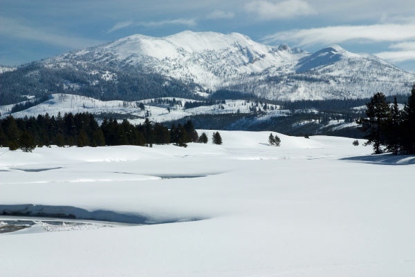 Montana in Winter